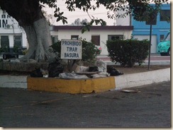 P5060238