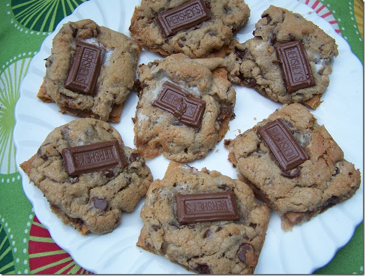 Pickles and Cheese Chocolate Chip S’more Cookies