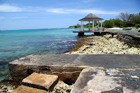 Reef at Coral Cove