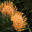 IMG_9720N2.JPG