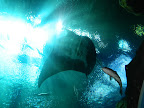 DSCN4074.JPG