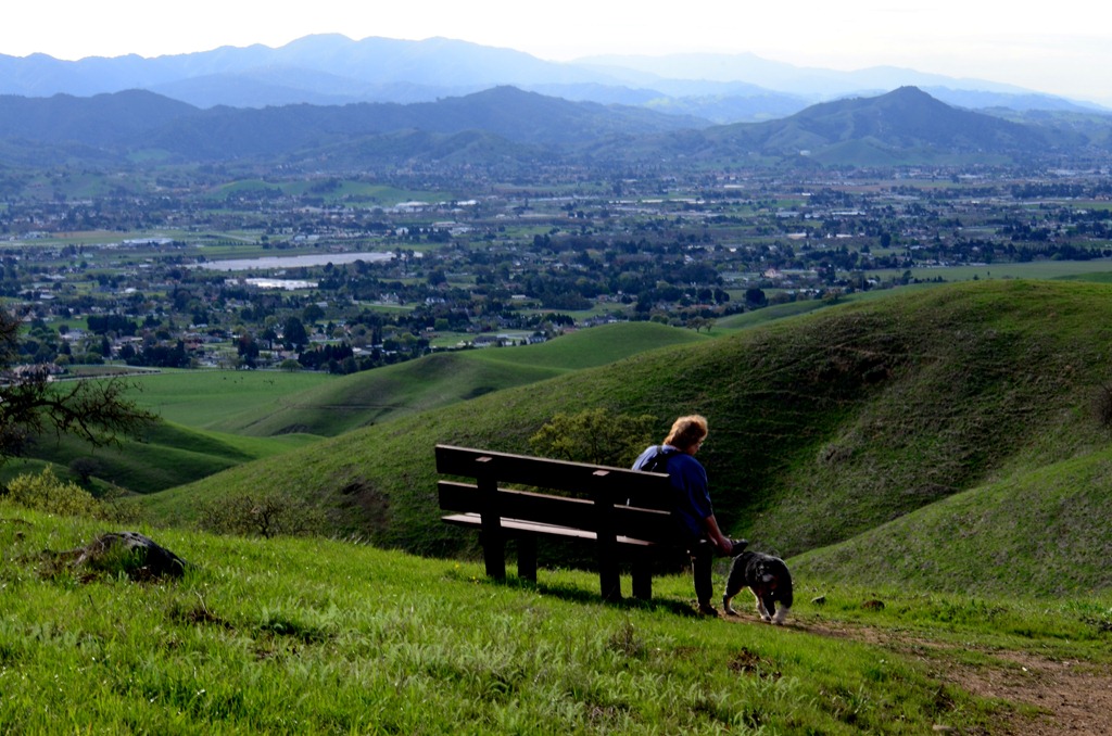 [finding-green_0454.jpg]