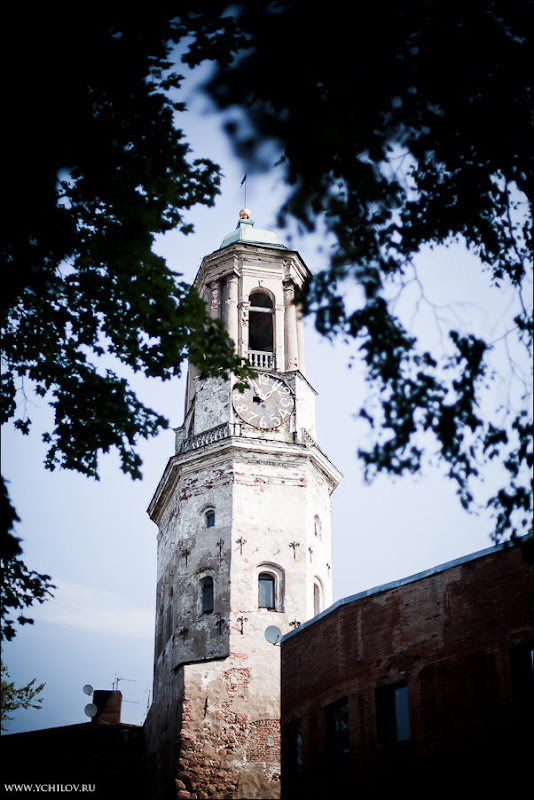 _MG_4025.jpg