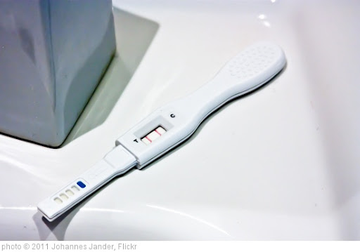'Pregnancy Test' photo (c) 2011, Johannes Jander - license: http://creativecommons.org/licenses/by-nd/2.0/