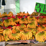 DSCN2398.jpg