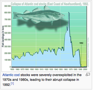 Over exploitation of Cod fisheries