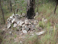 IMG_3787.JPG Photo