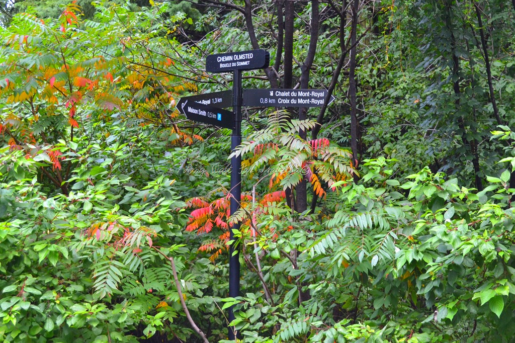[DSC_0022%255B18%255D.jpg]