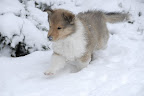 _DSC0084.JPG