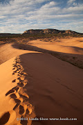 Coral Pink Sand Dunes State Park, Utah