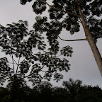 P1130070.JPG