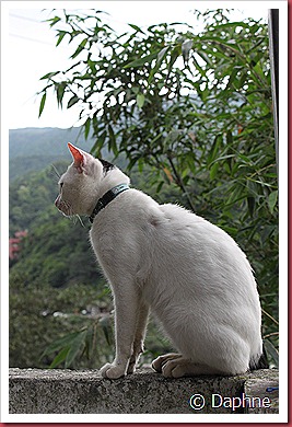 IMG_6176 IMG_6176