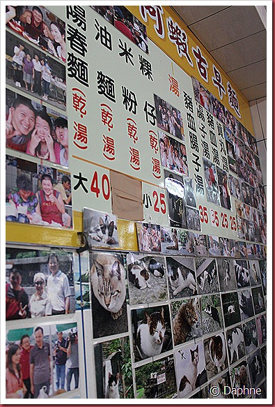 IMG_6108 IMG_6108