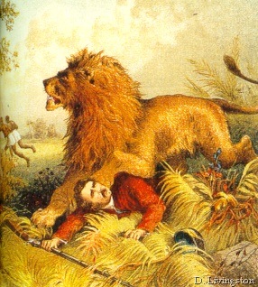 [c2-livingstonelion%255B11%255D.jpg]