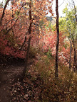 ParkCity_004.jpg