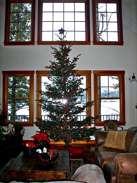 [Montana%2520Xmas%2520tree%25202%2520%25282%2529%255B5%255D.jpg]