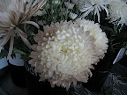 Flowers are beautiful enough on their own, but when sprayed with metallic floral spray, they get a bit jazzed up.