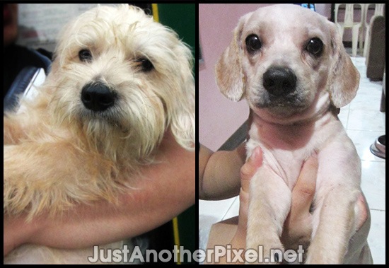 Marcel before and after photos