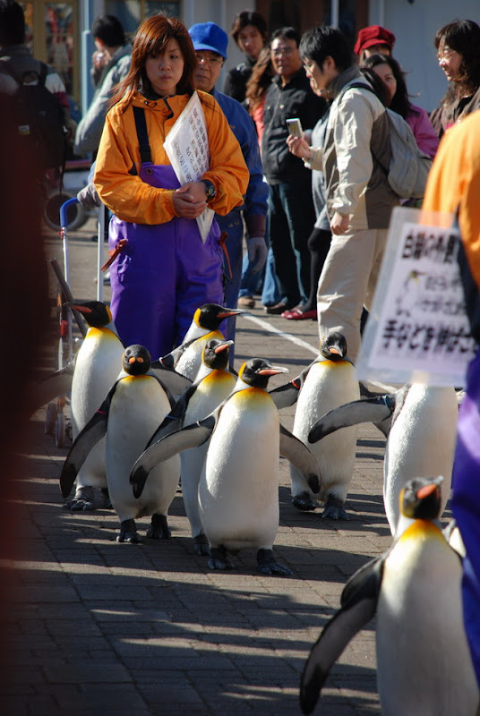 hokkaido_302.jpg