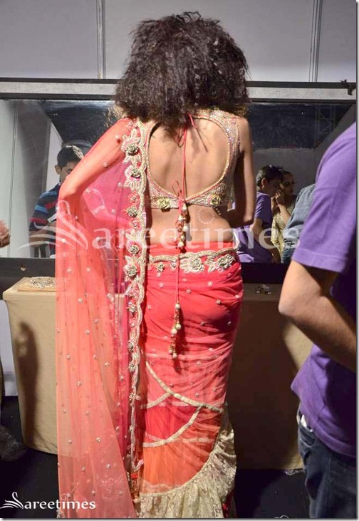 Shane_and_Falguni_Peacock_Saree_Collection