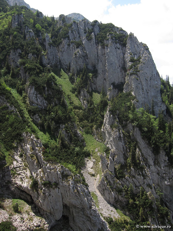 Traseul Alveolelor, Crai