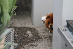 What's Sprouting in the Greenhouse?