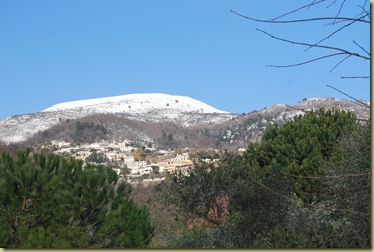 2012.02.02 Vue from Garden 1