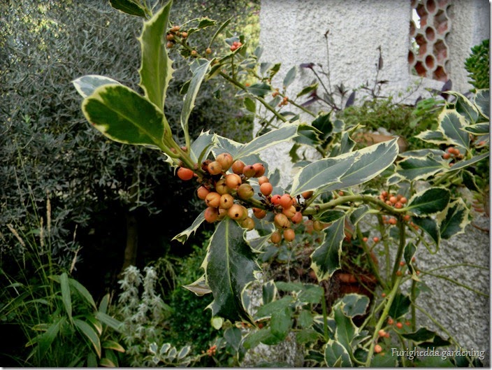 DSCN9224 DSCN9224