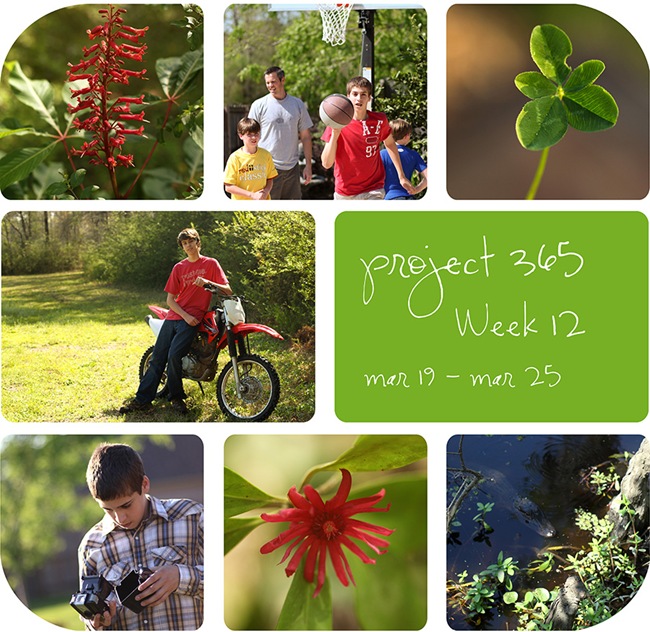 4week12