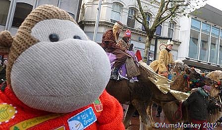 [Camels%2520in%2520Wolverhampton%2520Town%2520Centre%255B8%255D.jpg]