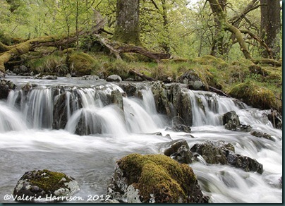 11 waterfall