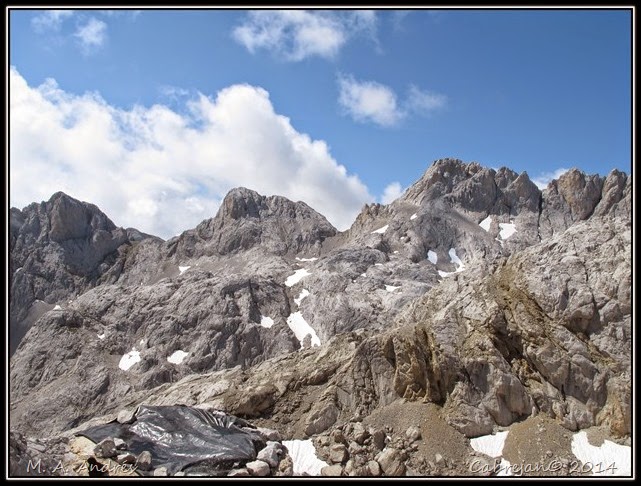 Picos 181 Picos 181