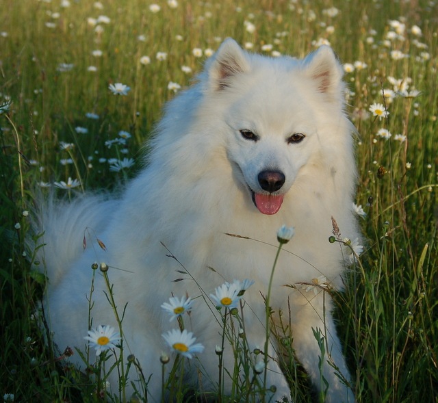 [DSC_6262%255B4%255D.jpg]