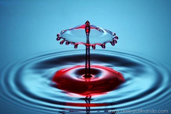 liquid-drop-art-gotas-caindo-foto-velocidade-hora-certa-desbaratinando (140)