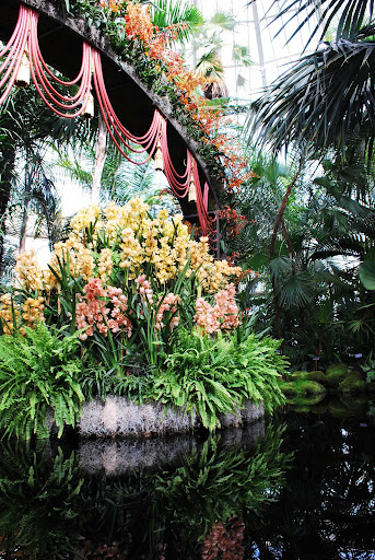 Here, the orchids are the performers.
