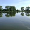 dsc03330.jpg