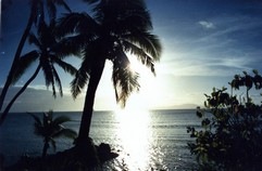 [Taveuni%252C%2520Fiji%255B4%255D.jpg]