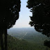El Camp de Coll de Lilla estant