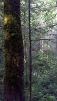 2011-06-08_09-37-42_651.jpg Photo 2011-06-08_09-37-42_651.jpg Photo