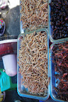 DSC00075.JPG