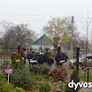DSC08935.JPG
