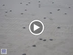 MVI_1478.MOV