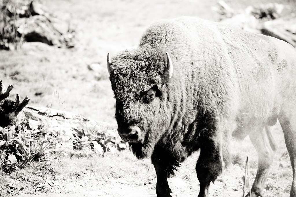 [20120903-IMG_9813%255B4%255D.jpg]