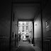 R0029787.JPG