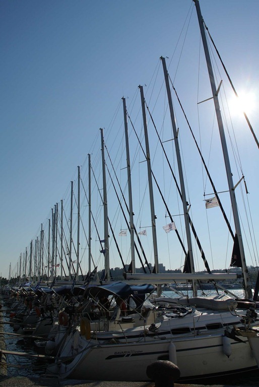 DSC_0956 DSC_0956