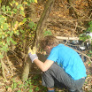 DSCN0223.JPG