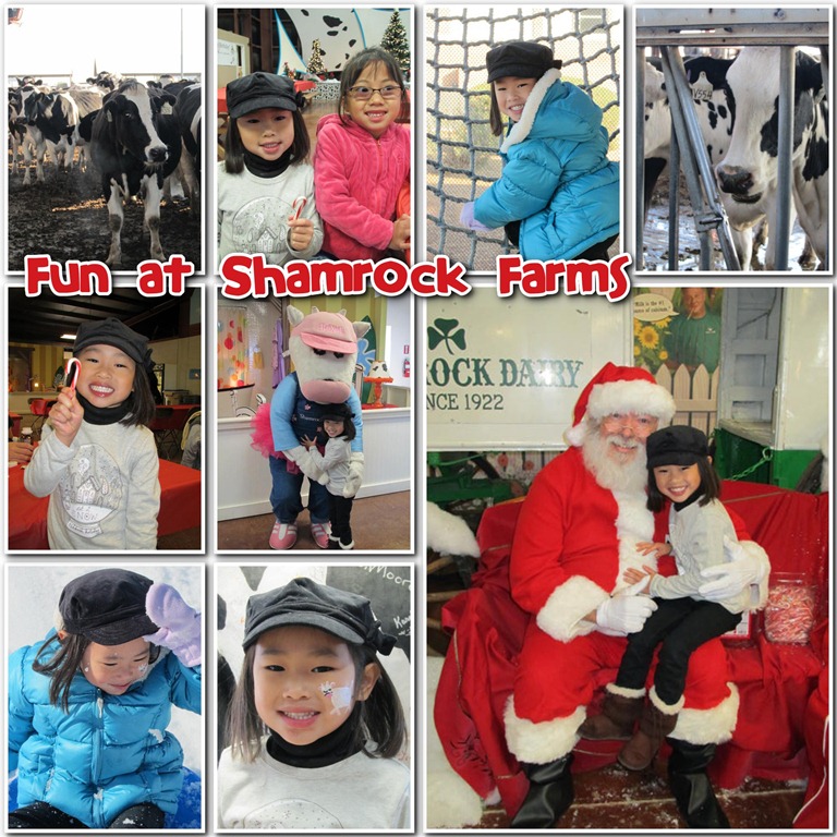 [Shamrock-Farms7.jpg]