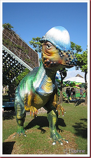 IMG_3522 IMG_3522