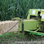 graanoogst-09-028.jpg