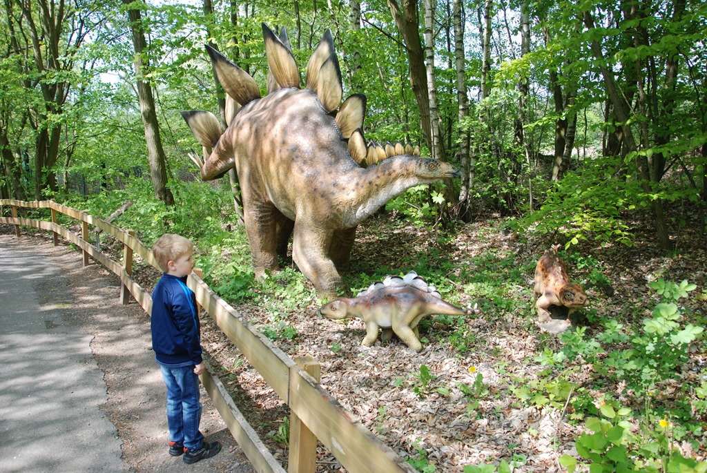 [DinoPark%2520%252822%2529%255B9%255D.jpg]